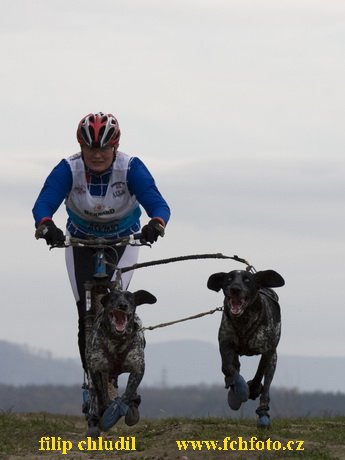 Trnavka 08 - 297.jpg